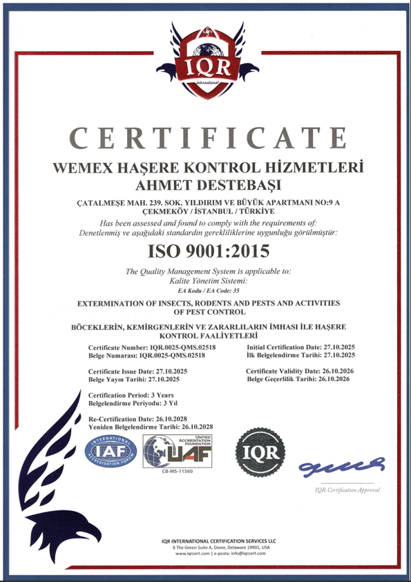 ISO 9001